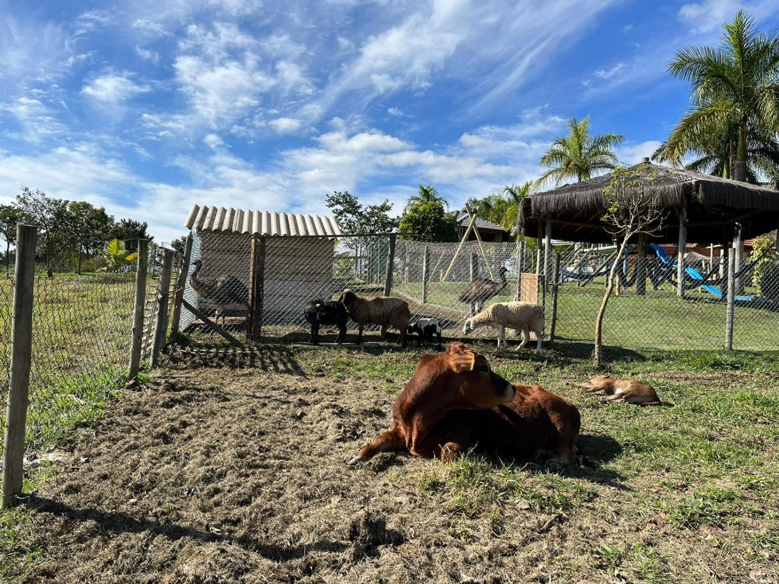 La Palma Hotel Fazenda Индаятуба Екстериор снимка